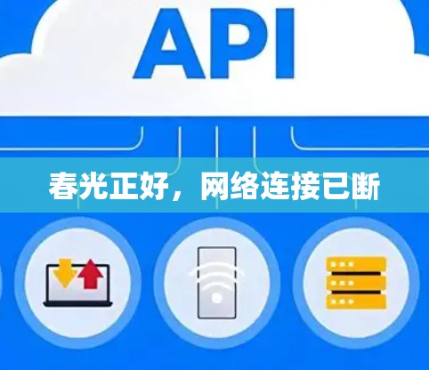 春光正好，网络连接已断