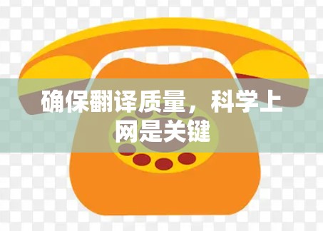 确保翻译质量，科学上网是关键