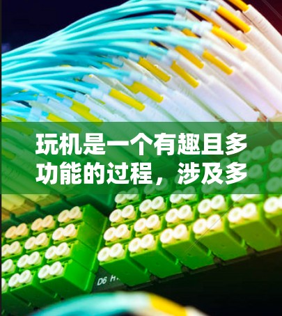 玩机是一个有趣且多功能的过程，涉及多种技术领域。以下是对玩机的详细介绍
