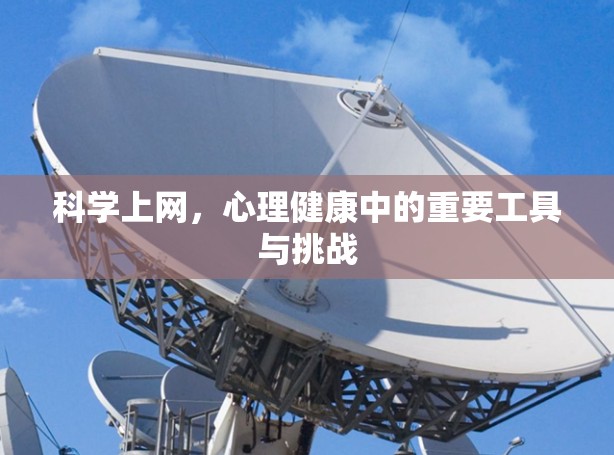 科学上网，心理健康中的重要工具与挑战