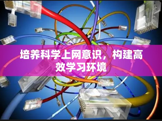 培养科学上网意识，构建高效学习环境