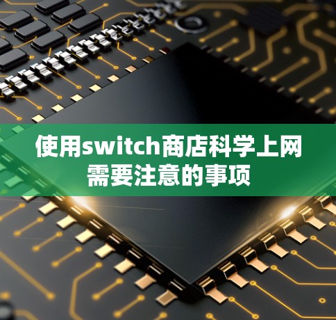 使用switch商店科学上网需要注意的事项