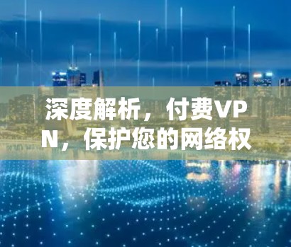 深度解析，付费VPN，保护您的网络权益