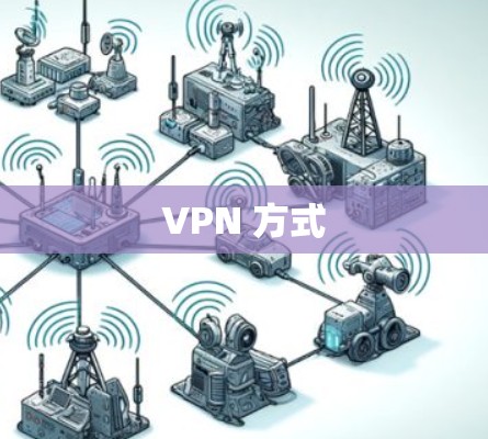 VPN 方式