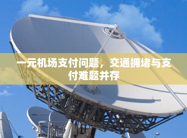 一元机场支付问题，交通拥堵与支付难题并存
