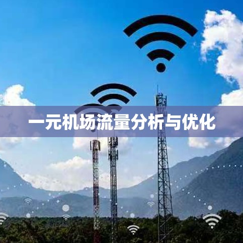 一元机场流量分析与优化