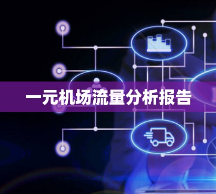 一元机场流量分析报告 一元机场流量分析报告