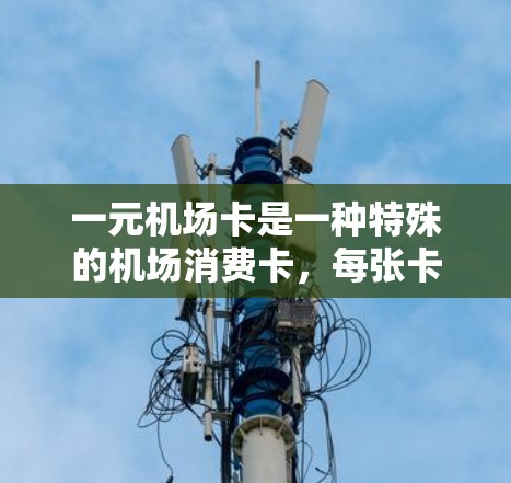 一元机场卡是一种特殊的机场消费卡，每张卡仅收费1元，主要用于支付现金或兑换物品。以下是关于一元机场卡的详细信息
