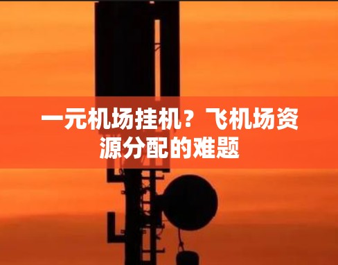 一元机场挂机？飞机场资源分配的难题