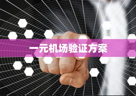 一元机场验证方案