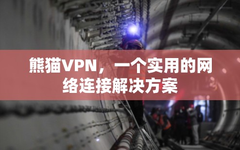 熊猫VPN，一个实用的网络连接解决方案