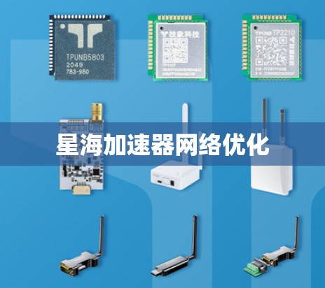 星海加速器网络优化