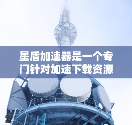 星盾加速器是一个专门针对加速下载资源或游戏的软件工具。以下是关于星盾加速器的详细指南