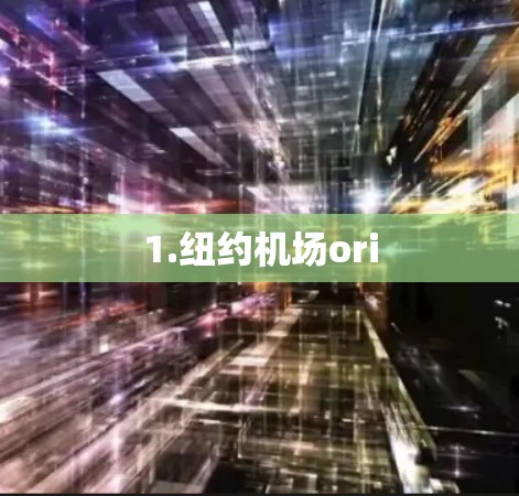 1.纽约机场ori