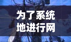 为了系统地进行网络优化服务测试，您可以按照以下步骤进行操作