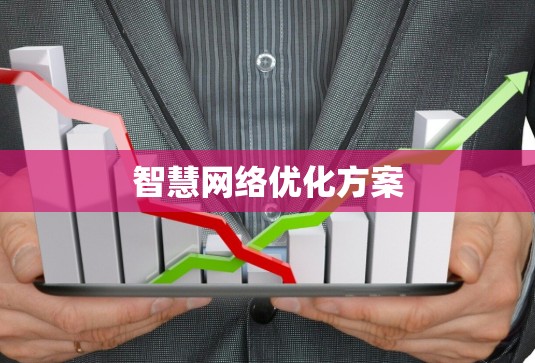 智慧网络优化方案