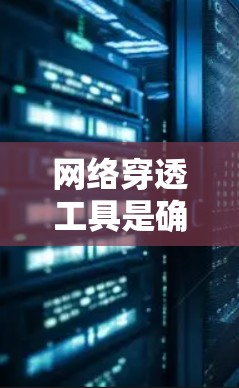 网络穿透工具是确保用户安全访问互联网的重要工具，根据不同的需求和需求不同，可以选择不同的工具。以下是对常见网络穿透工具的总结，供参考