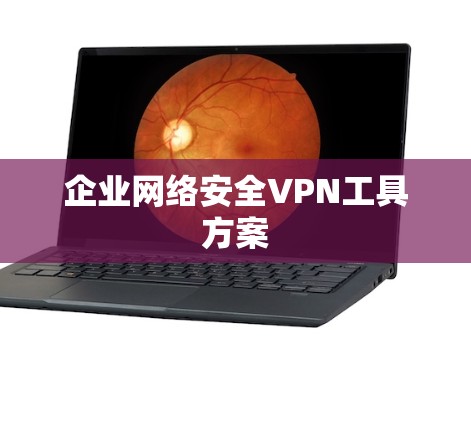 企业网络安全VPN工具方案