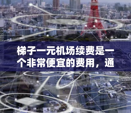 梯子一元机场续费是一个非常便宜的费用，通常包括基本维护和年费等，具体金额取决于梯子的类型、长度、维护需求以及使用情况。以下是对梯子续费的详细分析
