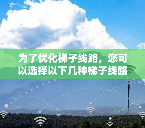 为了优化梯子线路,您可以选择以下几种梯子线路优化工具,并根据需要调整其功能 为了优化梯子线路,您可以选择以下几种梯子线路优化工具,并根据需要调整其功能