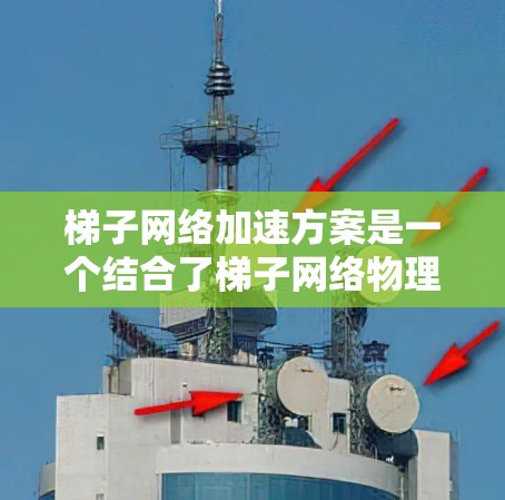 梯子网络加速方案是一个结合了梯子网络物理架构和分布式计算技术的设计,旨在通过物理连接和网络接口实现高效的并行计算和分布式处理。以下是该方案的主要组成部分 梯子网络加速方案是一个结合了梯子网络物理架构和分布式计算技术的设计,旨在通过物理连接和网络接口实现高效的并行计算和分布式处理。以下是该方案的主要组成部分