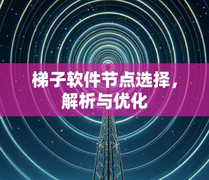 梯子软件节点选择，解析与优化
