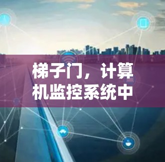梯子门，计算机监控系统中的测试与安全分析
