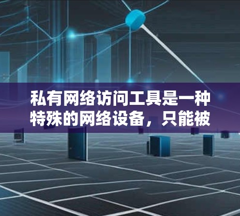 私有网络访问工具是一种特殊的网络设备，只能被特定用户访问，旨在保护个人隐私和数据安全。以下是对其总结的详细内容