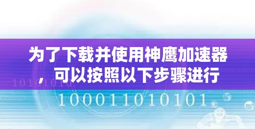 为了下载并使用神鹰加速器，可以按照以下步骤进行