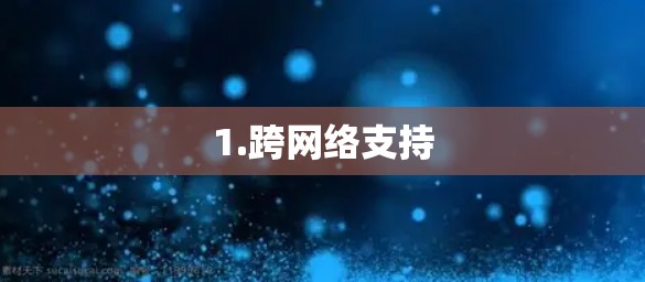 1.跨网络支持