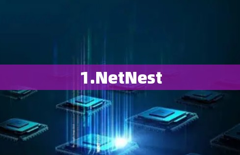 1.NetNest