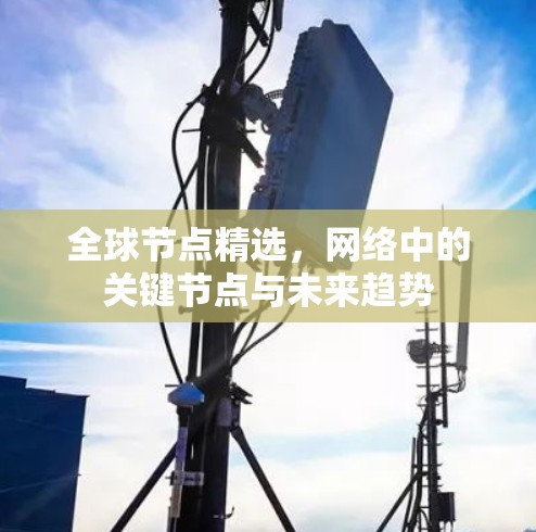全球节点精选，网络中的关键节点与未来趋势